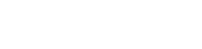 Innovation Research Interchange