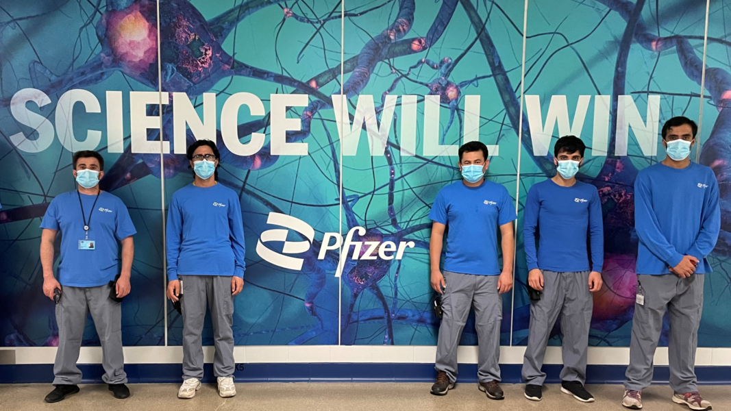 Pfizer’s Refugee Hiring Program Changes Lives NAM