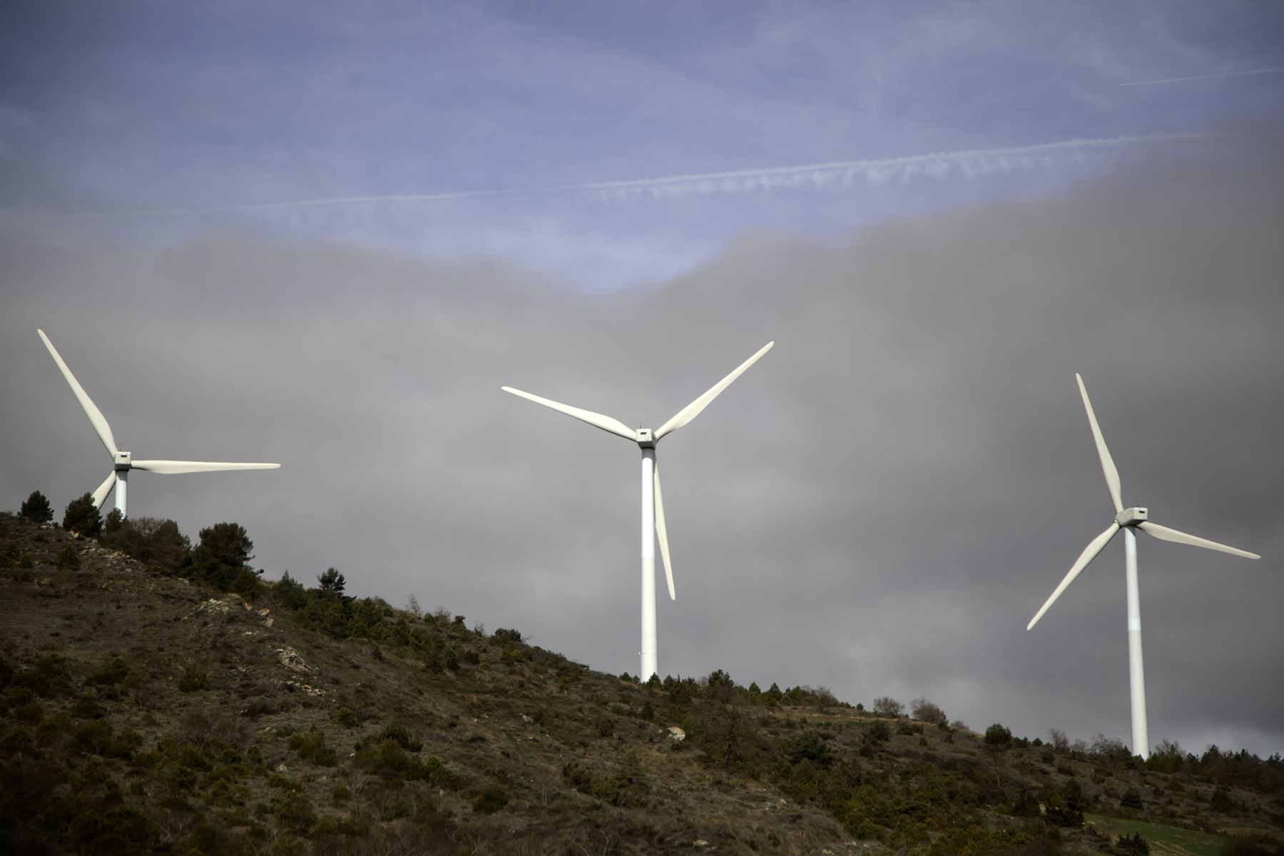 IEEPA Case Webinar: April Update