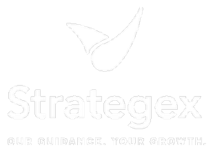 Strategex logo