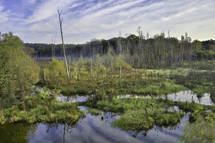 EPA, Army Corps Takes a Further Step to Redefine WOTUS