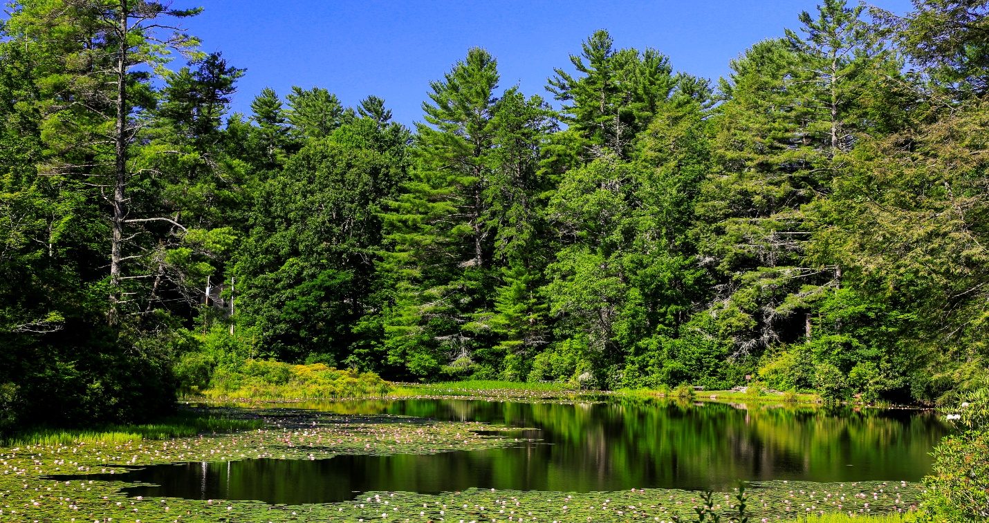 NAM Calls for Clear, Predictable WOTUS Definition