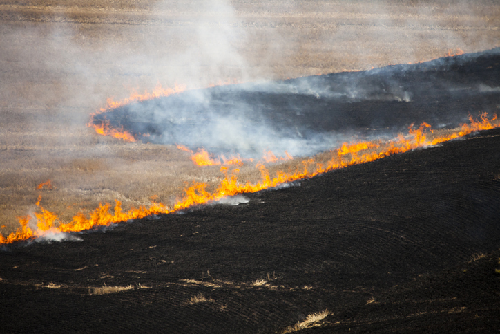 Senate Passes Bill Exempting Prescribed Burns from Air Regs